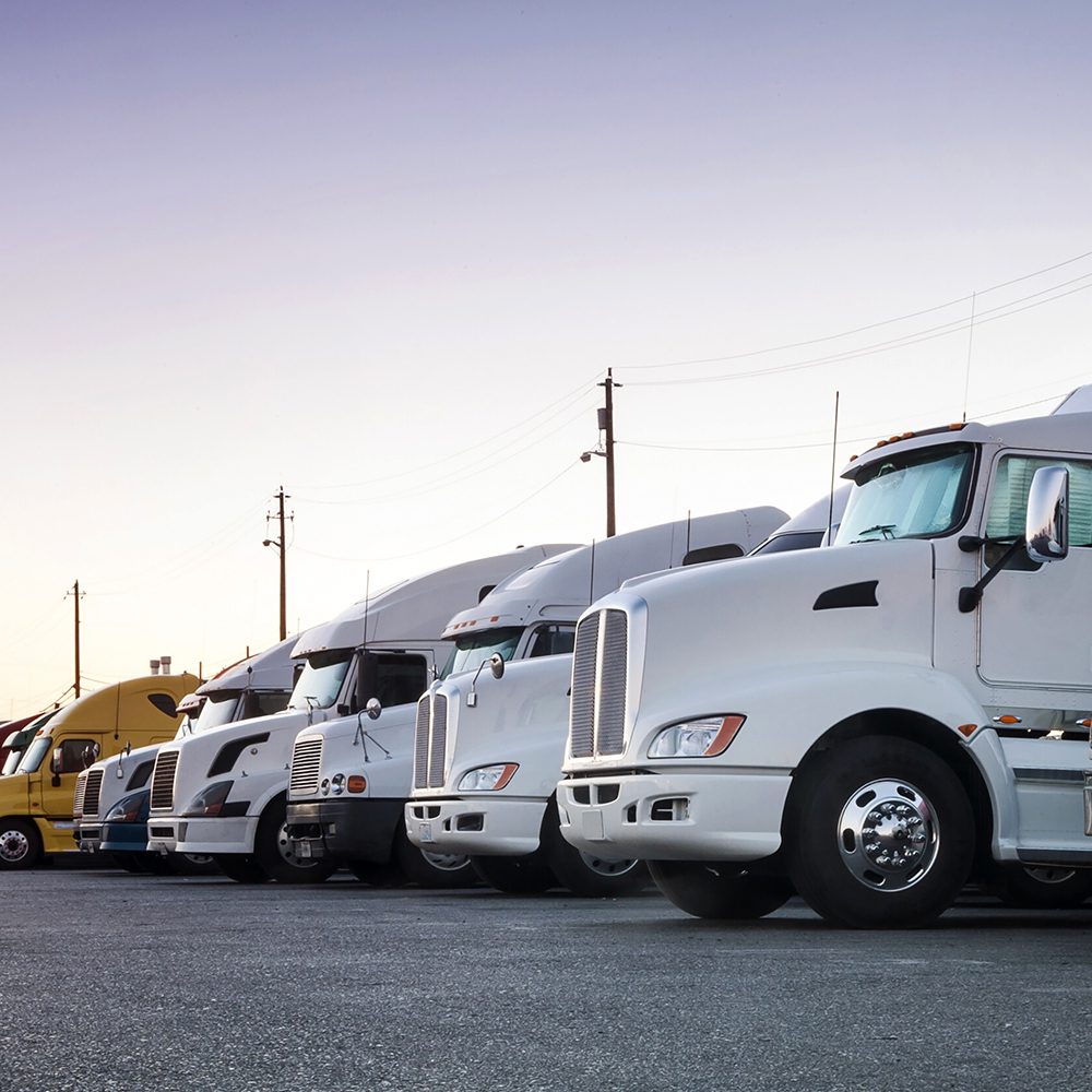 Row of parked trucks